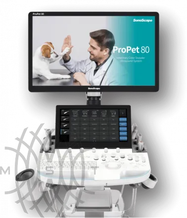УЗИ аппарат SonoScape ProPet 80