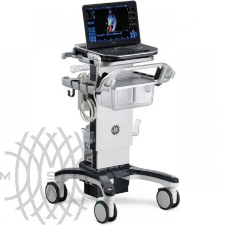Ультразвуковая диагностическая система GE HealthCare Vivid iQ портативная