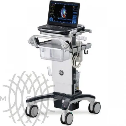 Ультразвуковая диагностическая система GE HealthCare Vivid iQ портативная