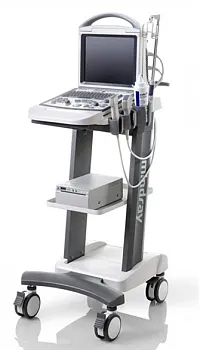 УЗИ аппарат Mindray DP-30 Vet портативный ветеринарный