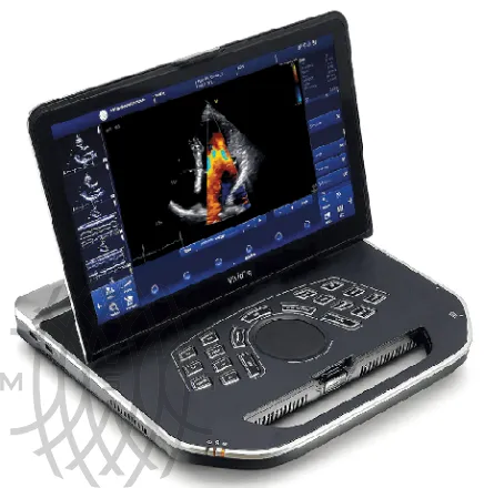 Ультразвуковая диагностическая система GE HealthCare Vivid iQ портативная