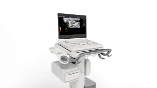 Портативный ультразвуковой аппарат GE Healthcare Logiq e