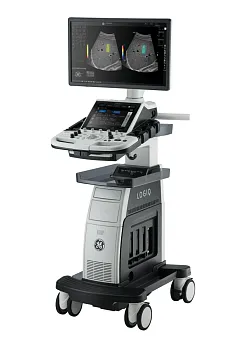 Ультразвуковой аппарат GE HealthCare Logiq P10